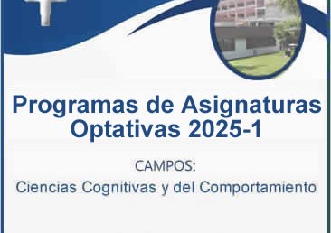 Programas de Asignaturas Optativas 2025-1