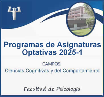Programas de Asignaturas Optativas 2025-1