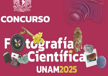 Concurso de Fotografía Científica UNAM