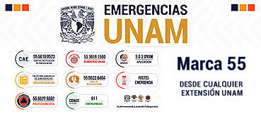 Emergencias-psicologia-unam-E