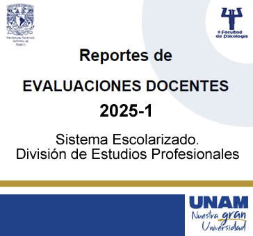 Reportes de Evaluaciones Docentes 2025-1