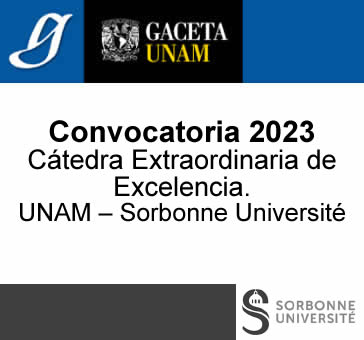 Cátedra Extraordinaria de Excelencia UNAM