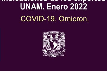 Indicaciones de los expertos UNAM. Enero 2022.